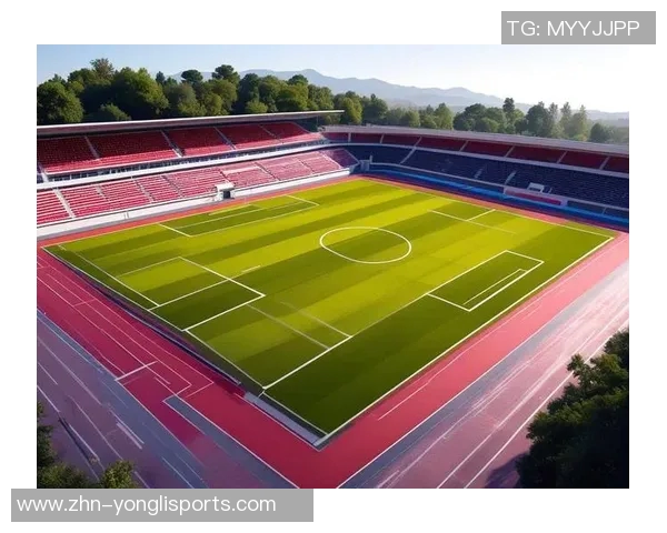 世界杯足球场地尺寸详解及其对比赛的影响分析